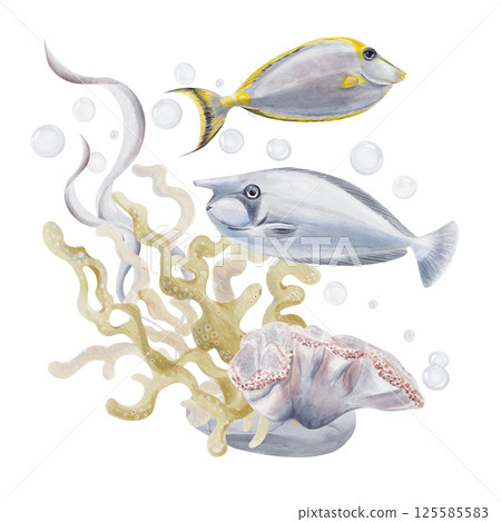 Exotic tropical fish swim near a coral reef. Algae and sea plants. Laminaria grows on the seabed. In the background there are air bubbles. Watercolor illustration without background. Hand drawing. Exotic tropical fish swim near a coral reef. Algae and sea plants. Laminaria grows on the seabed. In the background there are air bubbles. Watercolor illustration without background. Hand drawing. 125585583