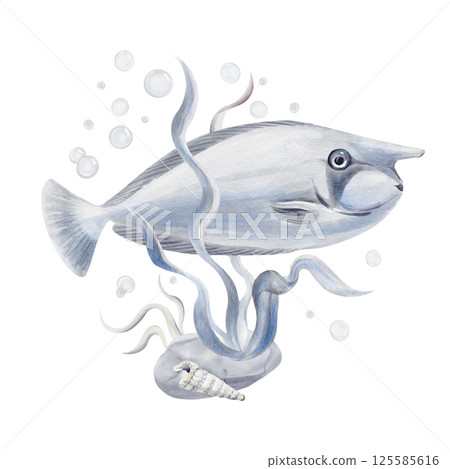 Exotic sea fish. Surgeon fish and blue-spined rhinoceros fish with a long nose and light gray color. Seaweed and sea pebbles. Sea snail shell. watercolor illustration. Hand drawn.  125585616