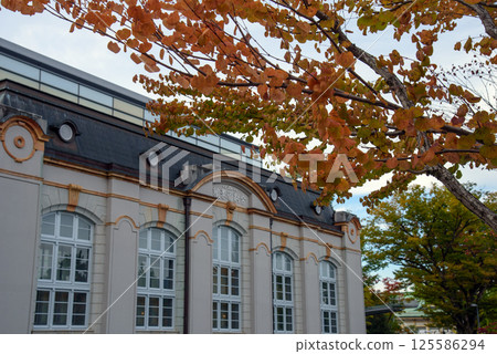 Autumn at Kyoto Prefectural Library 125586294