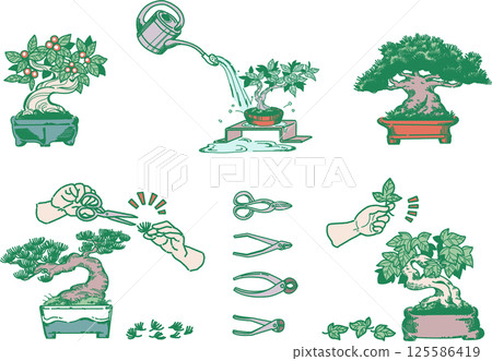 Bonsai care illustration set 125586419