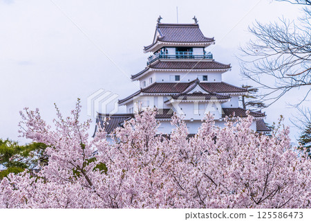 [Fukushima Prefecture_Aizuwakamatsu City] Tsuruga Castle with its beautiful contrast of white walls and red roof tiles 125586473