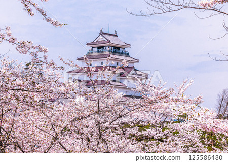 [Fukushima Prefecture_Aizuwakamatsu City] Tsuruga Castle with its beautiful contrast of white walls and red roof tiles 125586480