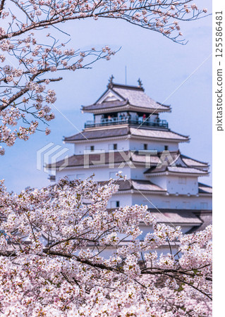 [Fukushima Prefecture_Aizuwakamatsu City] Tsuruga Castle with its beautiful contrast of white walls and red roof tiles 125586481