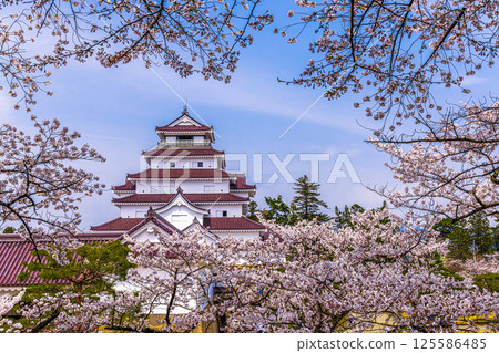 [Fukushima Prefecture_Aizuwakamatsu City] Tsuruga Castle with its beautiful contrast of white walls and red roof tiles 125586485