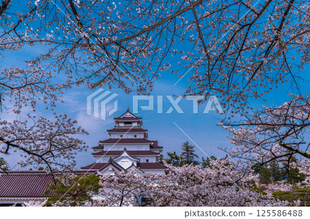 [Fukushima Prefecture_Aizuwakamatsu City] Tsuruga Castle with its beautiful contrast of white walls and red roof tiles 125586488