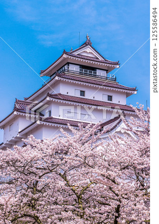 【福島縣_會津若松市】白牆紅瓦的鶴城 【福島縣_會津若松市】白牆紅瓦的鶴城 125586494