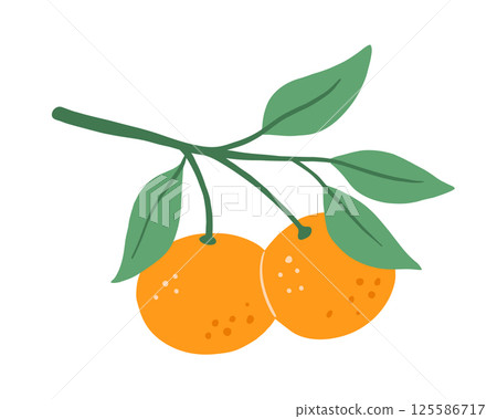 Tangerine with leaves, tree branch, isolated food illustration, abstract fruit art isolated on white 125586717