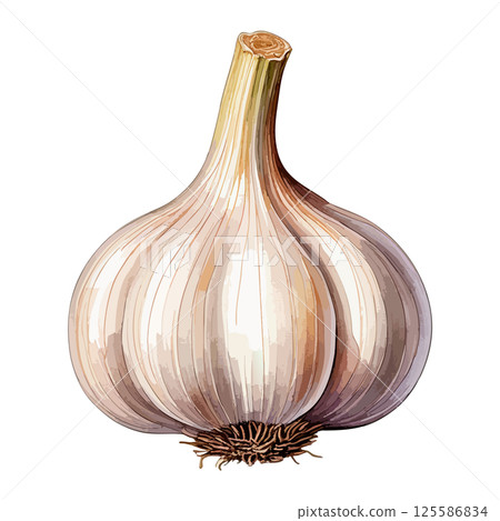 大蒜水彩插畫AI生成 大蒜水彩插畫AI生成 125586834