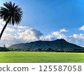 The Hawaii - Panoramic view of Diamond Head from Kapiolani Park! 125587058