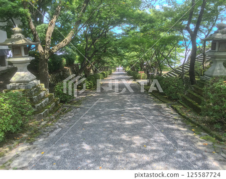 Entrance surrounded by trees Entrance surrounded by trees 125587724