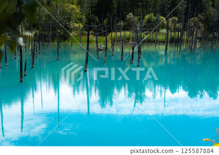 美瑛北海道的藍塘 125587884