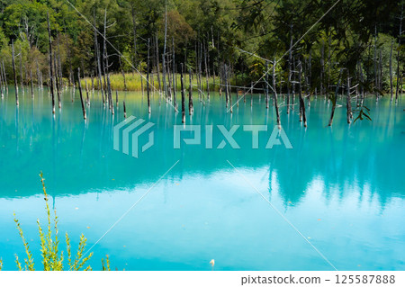 美瑛北海道的藍塘 美瑛北海道的藍塘 125587888
