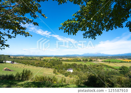 北海道廣闊的鄉村風光 125587910