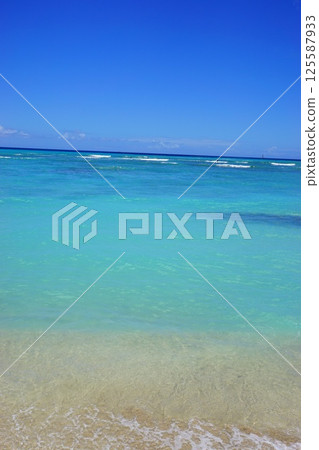 夏威夷的藍色海 125587933