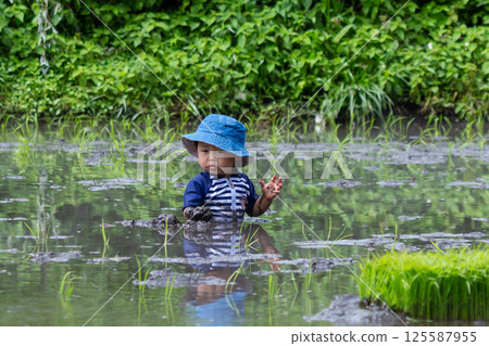 Parent and child rice planting experience - Toddler Parent and child rice planting experience - Toddler 125587955