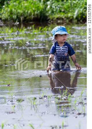 Parent and child rice planting experience - Toddler 125587956