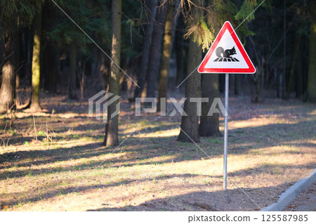 A squirrel on a road sign. A forest animal on a warning information sign in a red frame in the shape of a triangle in a city park A squirrel on a road sign. A forest animal on a warning information sign in a red frame in the shape of a triangle in a city park 125587985