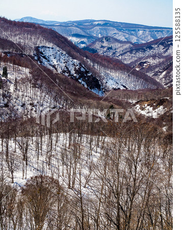 城倉橋的山景（青森縣八甲田市） 125588135