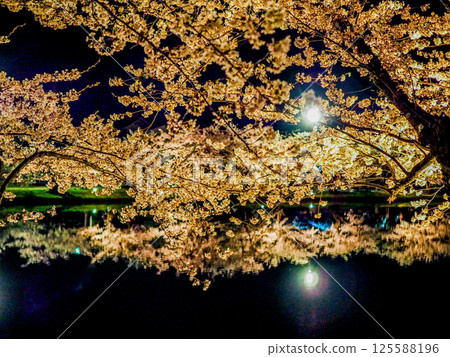 Cherry blossoms reflected on the water at night Cherry blossoms reflected on the water at night 125588196