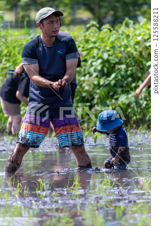 Parent and child rice planting experience - Toddler 125588211