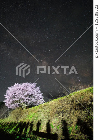 A single cherry tree and the Milky Way at Nodaira in Hakuba Village, Nagano Prefecture A single cherry tree and the Milky Way at Nodaira in Hakuba Village, Nagano Prefecture 125588322