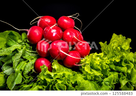 Fresh Red Radishes with Green Leaves on Black Background Fresh Red Radishes with Green Leaves on Black Background 125588483
