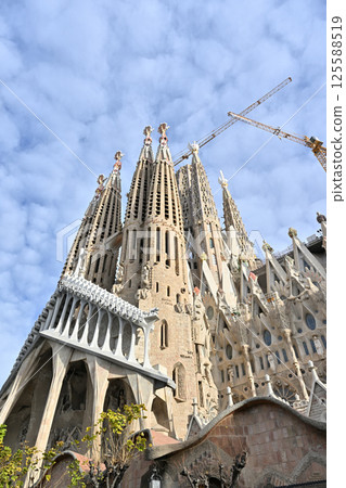Sagrada Familia Cathedral 125588519