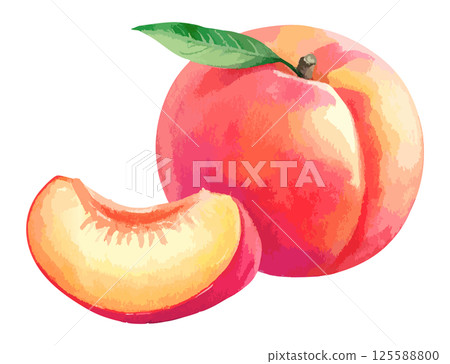 桃子水彩插圖及切開的桃子AI生成 桃子水彩插圖及切開的桃子AI生成 125588800