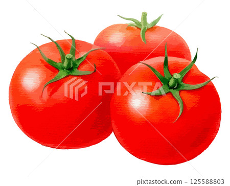 三個西紅柿的水彩插圖 - AI生成 125588803