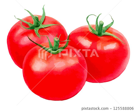 三個西紅柿的水彩插圖 - AI生成 三個西紅柿的水彩插圖 - AI生成 125588806