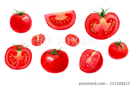 Watercolor illustration set of tomatoes from various angles AI generation 125588815