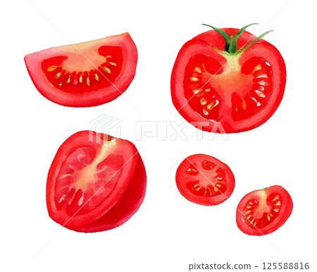 各種角度的西紅柿水彩插圖集AI生成 125588816