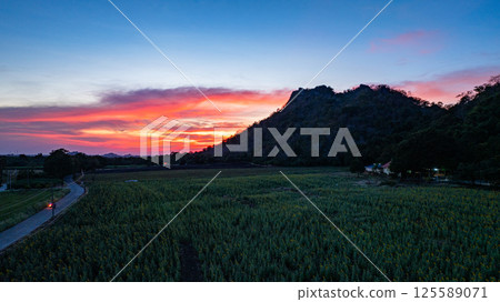 Aerial view of colorful Sunset Over sunflower field. Aerial view of colorful Sunset Over sunflower field. 125589071