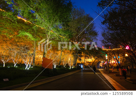 南京玄武湖公園夜晚燈火通明的城牆 125589508