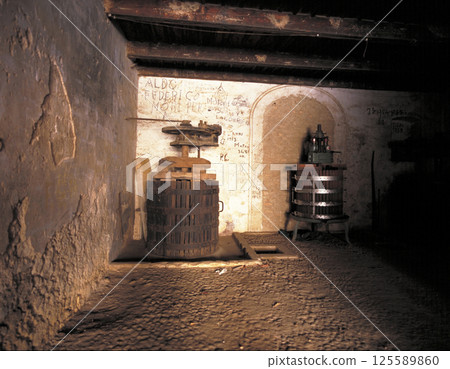 Inside the old winery of a long-established Italian winery 125589860