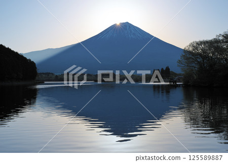 Double Diamond Fuji in Spring as Seen from Lake Tanuki 125589887