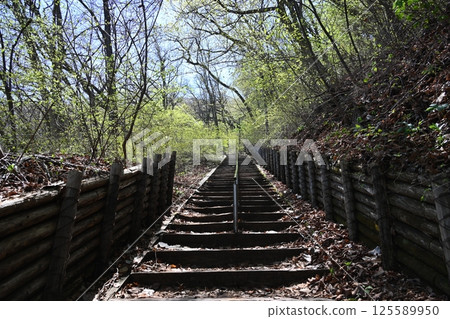 A view of the walking path leading to Kaminoyama Park in Ikaho, Gunma Prefecture A view of the walking path leading to Kaminoyama Park in Ikaho, Gunma Prefecture 125589950