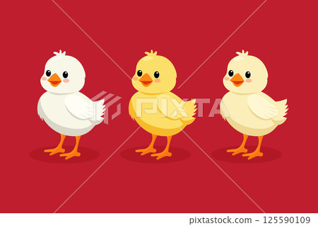 Chicken set flat vector illustration isolated on red background. Chicken set flat vector illustration isolated on red background. 125590109