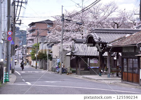 Cherry blossoms at Rokkakudo in Yamashina, Kyoto Cherry blossoms at Rokkakudo in Yamashina, Kyoto 125590234