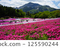 A field of moss pinks and mountains 125590244