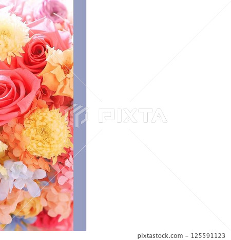 Instagram 明信片方形花玫瑰彩色 125591123