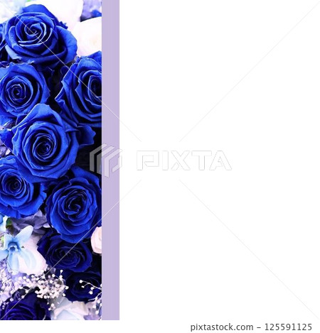 Instagram 明信片方形花朵藍玫瑰 125591125