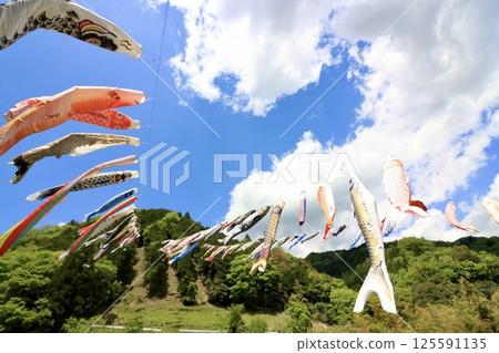 Carp streamer swimming in the blue sky Carp streamer swimming in the blue sky 125591135