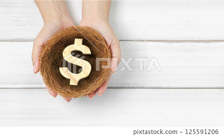Financial Security and Growth: Hands Holding Wooden Dollar Symbol in a Nest 125591206