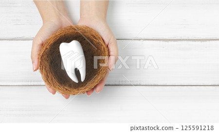 Oral Health and Dental Care Symbol: Hand Holding Tooth in a Nest Oral Health and Dental Care Symbol: Hand Holding Tooth in a Nest 125591218