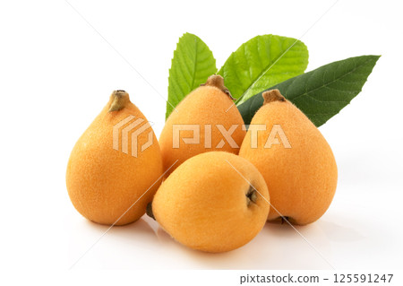 Tabiwa 上有白色背景的葉子 Tabiwa 上有白色背景的葉子 125591247