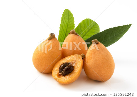 Tabiwa 上有白色背景的葉子 Tabiwa 上有白色背景的葉子 125591248