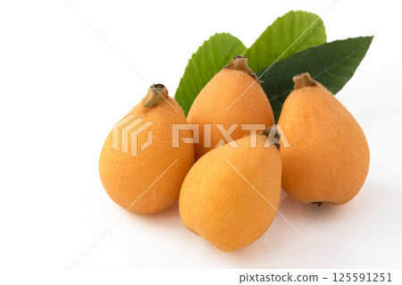 Tabiwa 上有白色背景的葉子 125591251