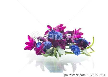 Spring flower arrangement with hyacinth and crocuses on white 125591431
