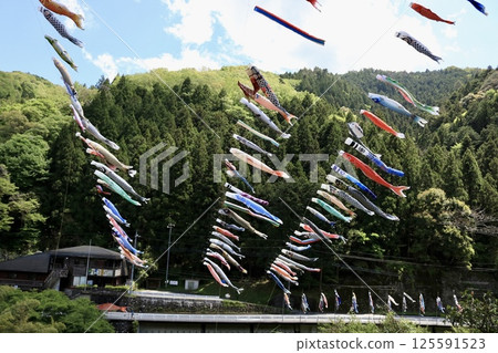 鯉魚旗在山中游動 125591523